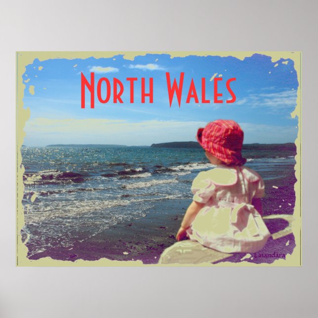 Poster Uma garota perto do mar (Frente)