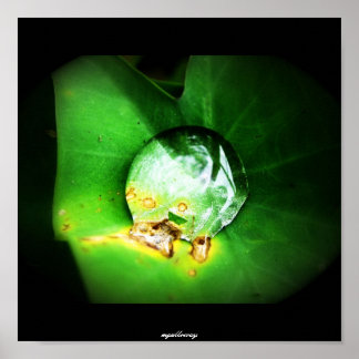 Poster uma gota