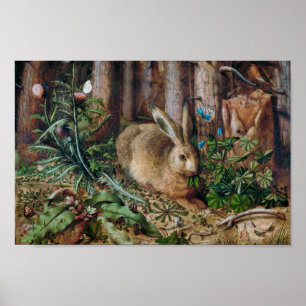 Poster Uma Lebre na Floresta