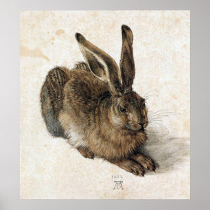 Poster Uma lebre nova - Albrecht Durer - c1502