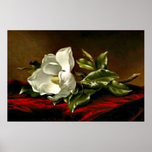 Poster Uma Magolia no Veludo Vermelho