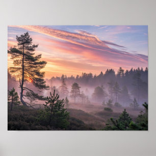 Poster Uma Majestosa Floresta Boreal ao Amanhecer com Man