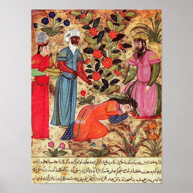 Poster Uma mulher bebendo o Sultão (Frente)