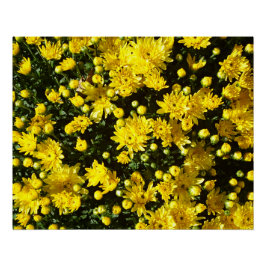 Pôster Uma multidão de Mães amarelas