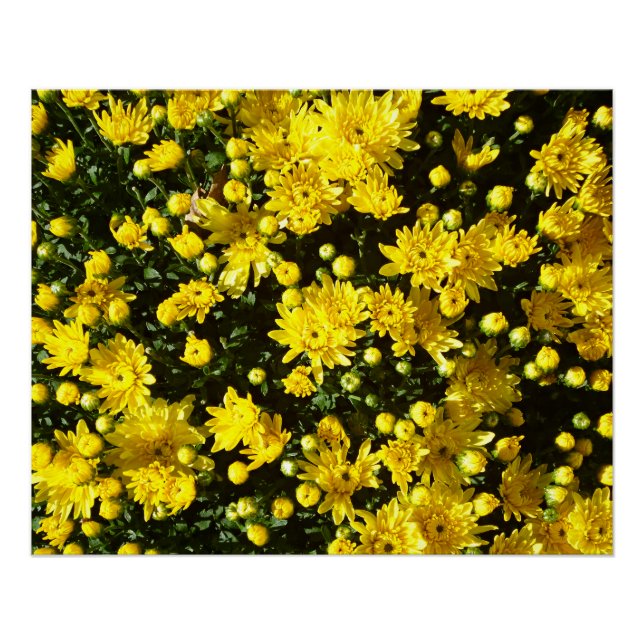 Pôster Uma multidão de Mães amarelas (Frente)