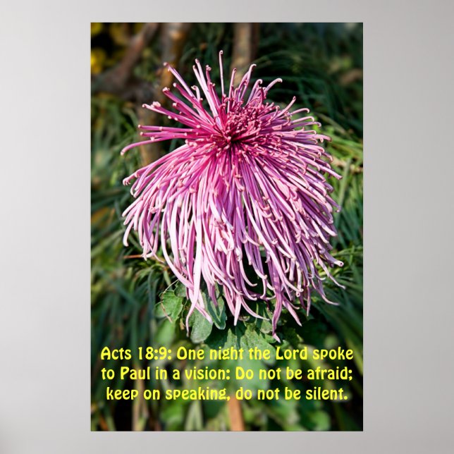 Pôster Uma noite o Senhor falou com Paul (Frente)