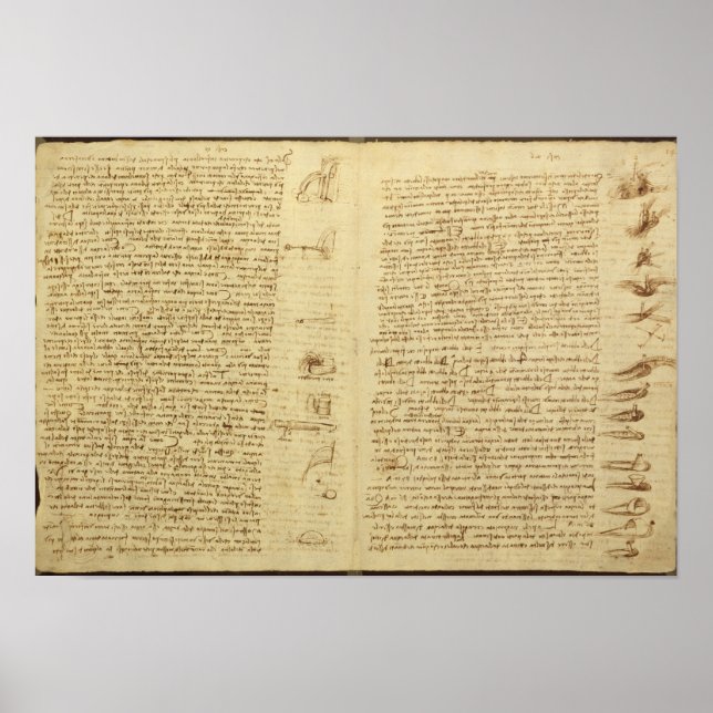 Pôster Uma página do Codex Leicester, 1508-12 (Frente)