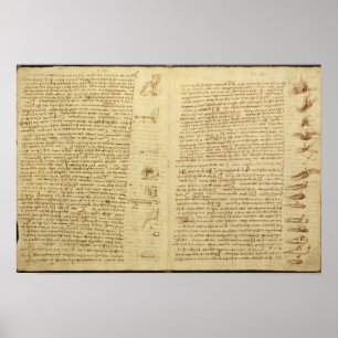 Pôster Uma página do códice Leicester, 1508-12