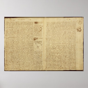 Pôster Uma página do códice Leicester, 1508-12