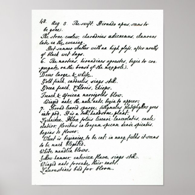 Poster Uma página do diário do reverendo James Woodforde (Frente)