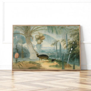 Poster Uma Paisagem no Ceilão por Samuel Daniell