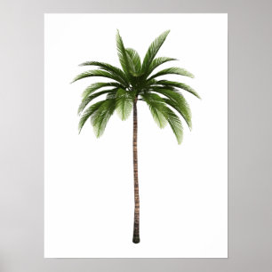 Poster Uma Palm Tree Tropical Beach Island Art Simples Di