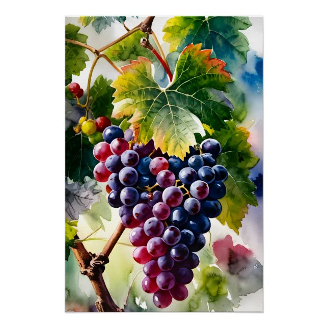 Pôster Uma pintura aquosa de Uvas em crescimento Ar gráfi (Frente)