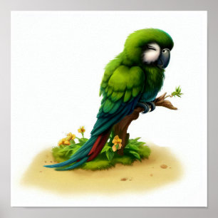 Poster Uma pintura em aquarela 3D de uma grande arara-ver