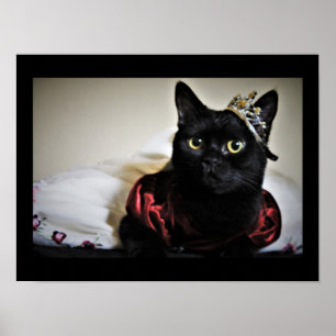 Poster Uma Princesa Pequena 