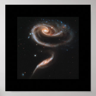 Poster Uma Rosa Feita De Galáxias - Telescópio Espacial H