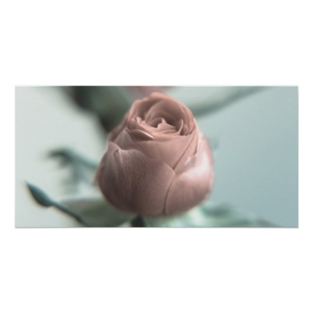 Pôster Uma Rosa Rosa para a sua Querida... (Frente)