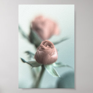 Poster Uma Rosa Rosa para o seu Amor...