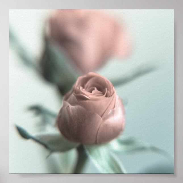 Pôster Uma Rosa Rosa Rosa Rosa para a tua querida... (Frente)