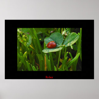 Pôster Uma Rua Sortuda.