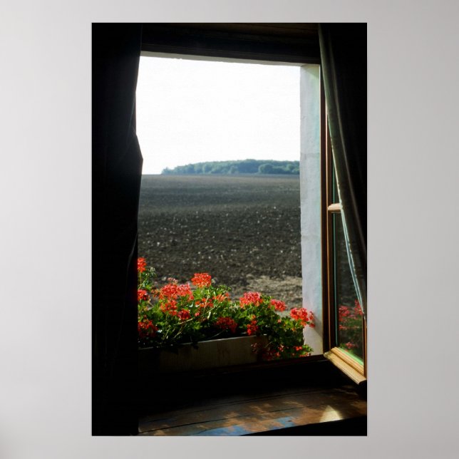Poster Uma Sala Com Vista (Frente)