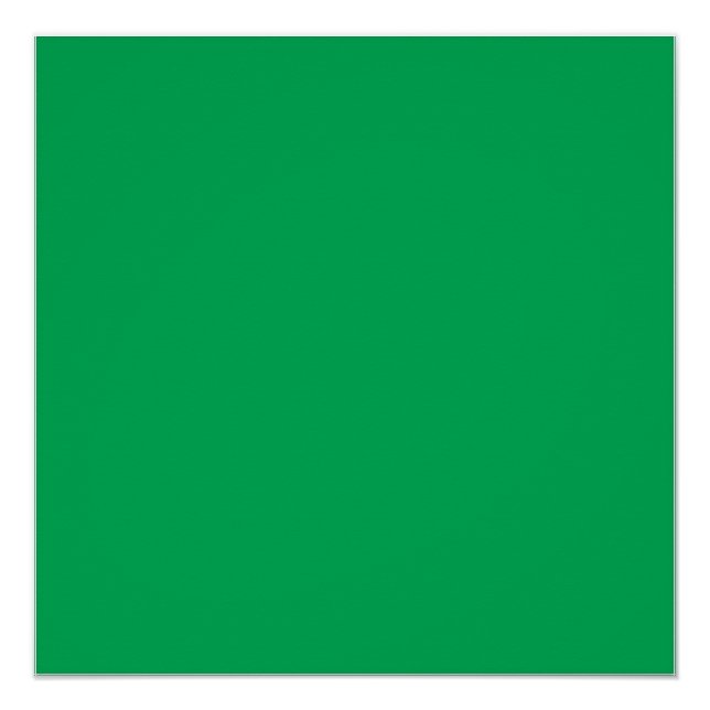 Pôster Uma samambaia verde-luxuosa, delicada e intricada (Frente)