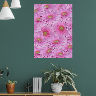 Poster Uma Sinfonia de Gerberas Rosa,