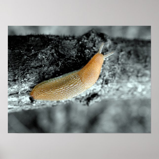 Poster Uma situação impecável (Frente)