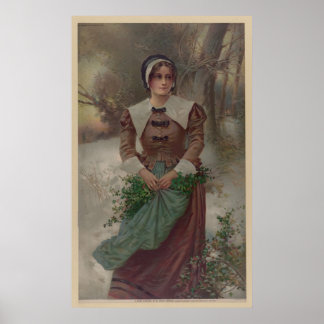 Poster Uma solteira puritana justa