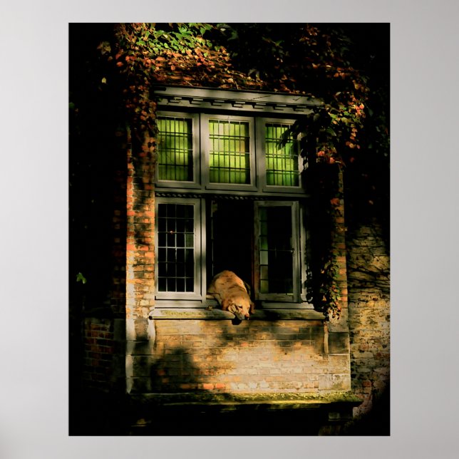 Poster Uma soneca ao sol II (Frente)