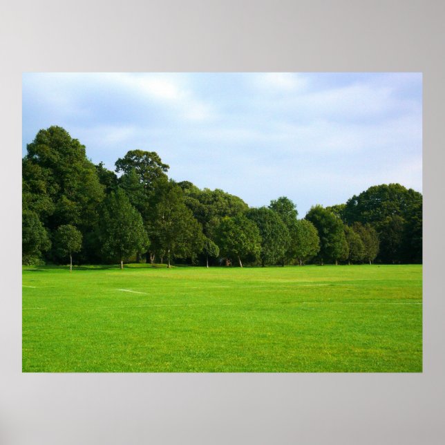 Poster Uma tarde tranquila no parque (Frente)