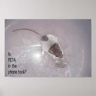 Pôster Uma Última Chamada