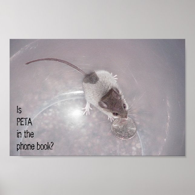 Pôster Uma Última Chamada (Frente)