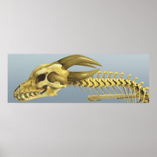 Poster Uma Vez Por Dragão