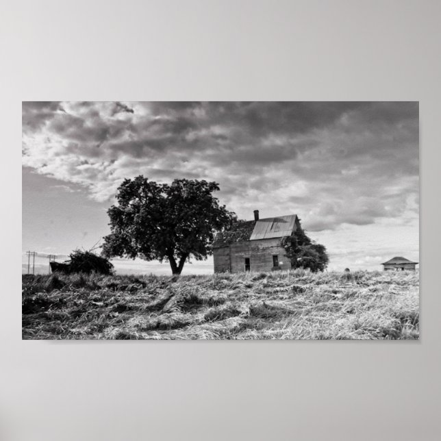 Pôster Uma vez uma beleza (Frente)