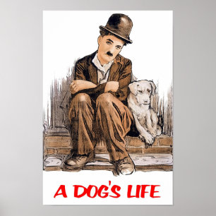 Poster Uma Vida de Cachorro Charlie Chaplin 1918 Filme Cl