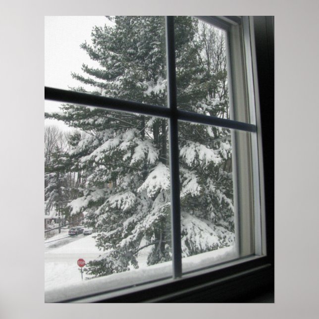 Poster Uma Visão da Janela de Neve Coberta Evergreen (Frente)