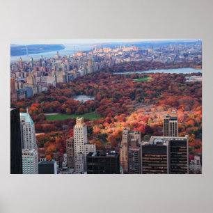 Pôster Uma visão de cima: Outono no Central Park 01