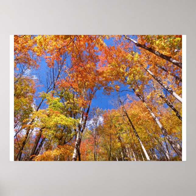 Pôster Uma visão de queda (Frente)