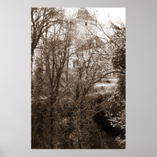 Poster Uma Visão Do Castelo Da Floresta