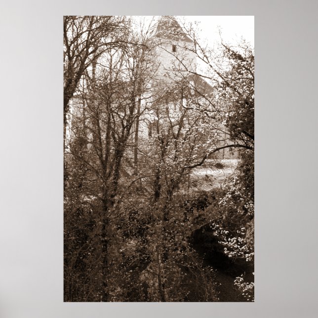 Poster Uma Visão Do Castelo Da Floresta (Frente)