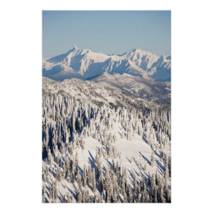 Pôster Uma vista cénico de montanhas nevado e de árvore