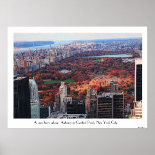 Poster Uma vista de cima de: Outono no Central Park 01C