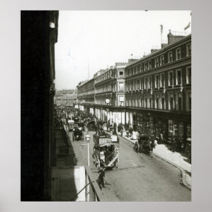 Pôster Uma vista do bosque de Westbourne, Londres