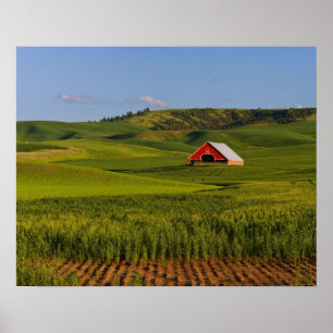 Pôster Uma vista panorâmica de um celeiro em Moscow Idaho