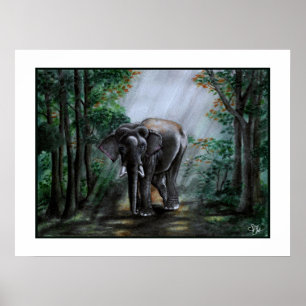 Poster Uma Voz Pela Natureza Selvagem