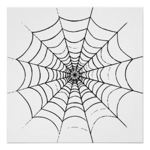 Pôster Uma Web de aranha simples