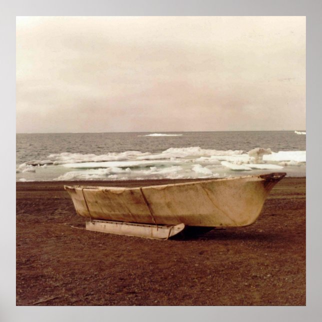 Poster Umiak Walrus Skin Whalers Foto De Barco (Frente)