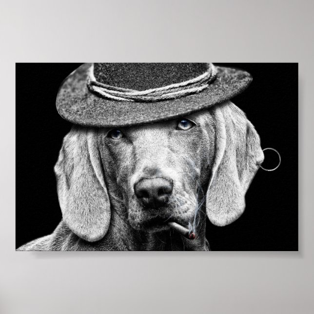 Poster Un chien chic dans un chapeau punk. (Frente)
