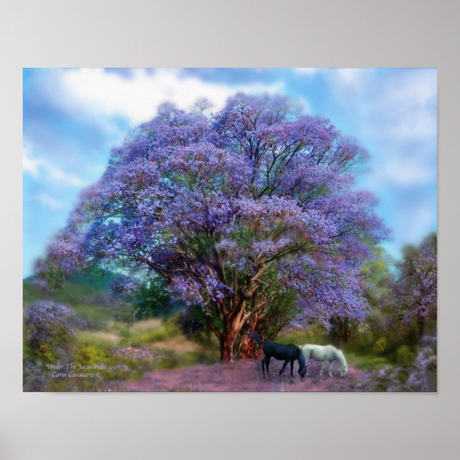 Poster Under The Jacaranda Art Poster/Print (Frente)